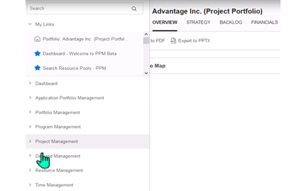 demo: PPM Demo: New Demand Request Page