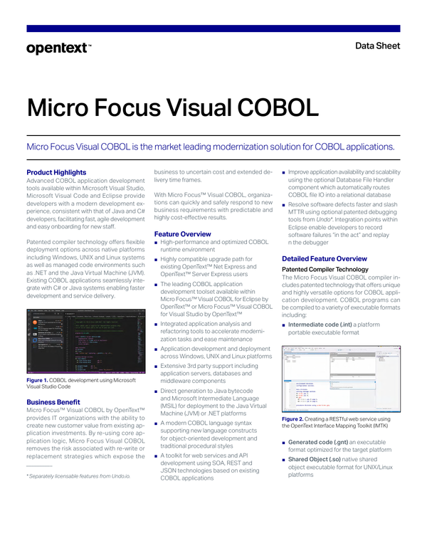 Visual Cobol 2.2 | Compiler Directives – HWDYNP