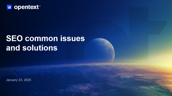 Seo Common Issues