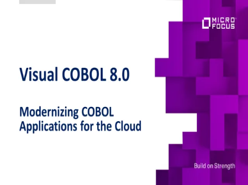 Visual Cobol 8 Launch Event Micro Focus 6311