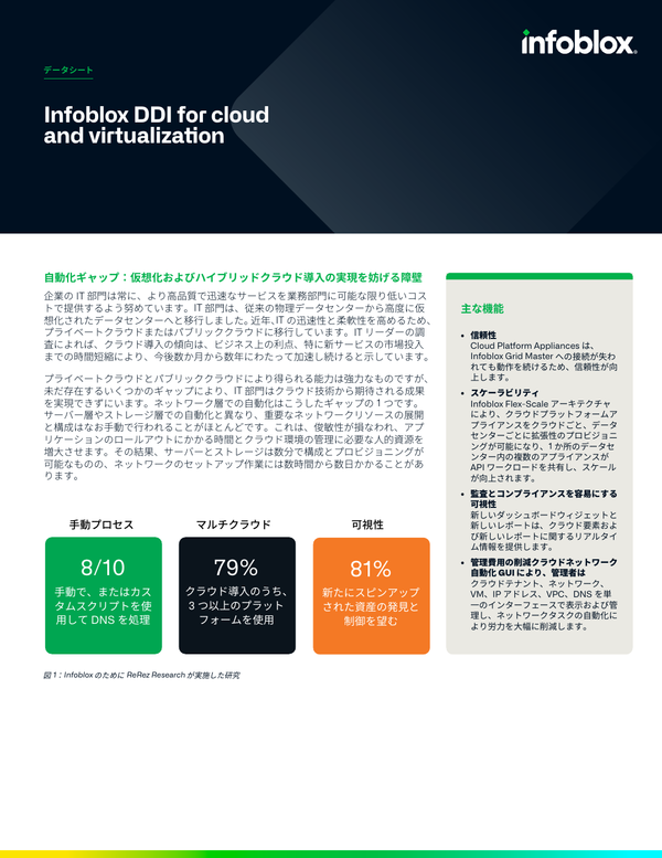 Infoblox DDI for cloud and virtualization