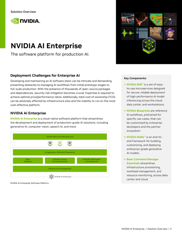 NVIDIA AI Enterprise Solution Overview