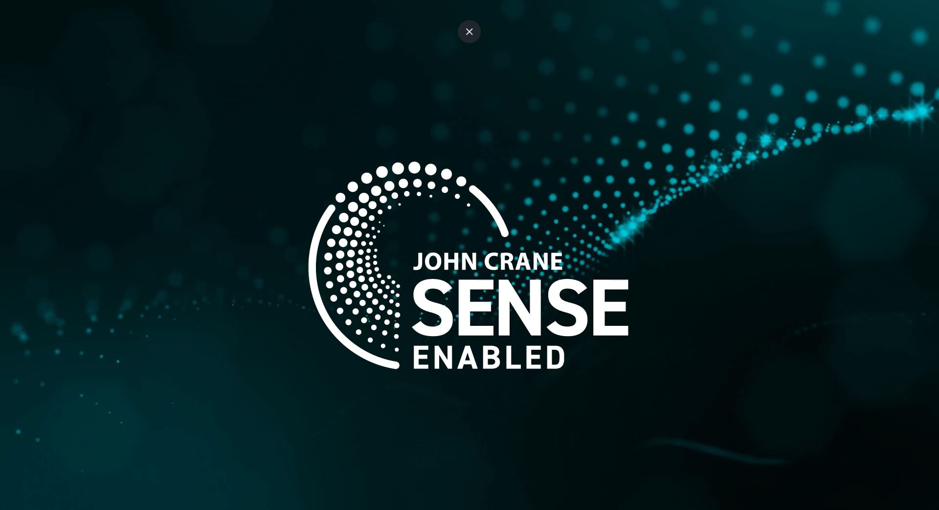John Crane Sense®