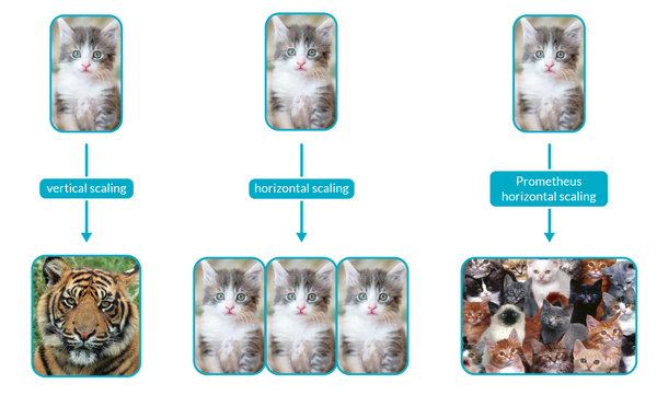 Sample content thumbnail