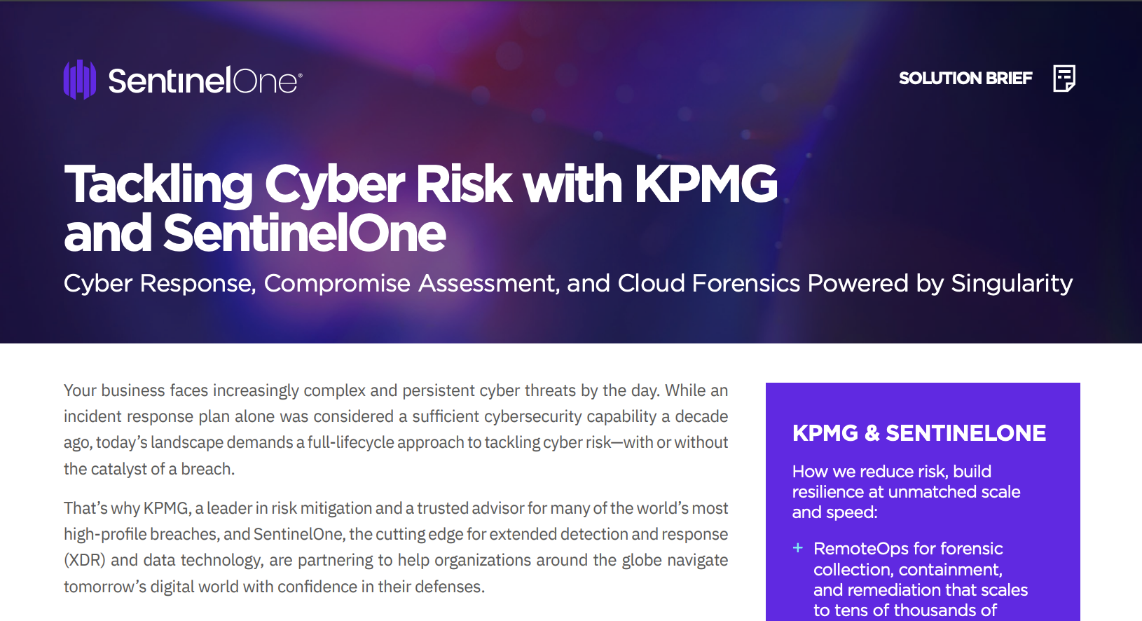 Tackling Cyber Risk with KPMG and SentinelOne