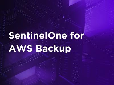 SentinelOne For AWS Backup