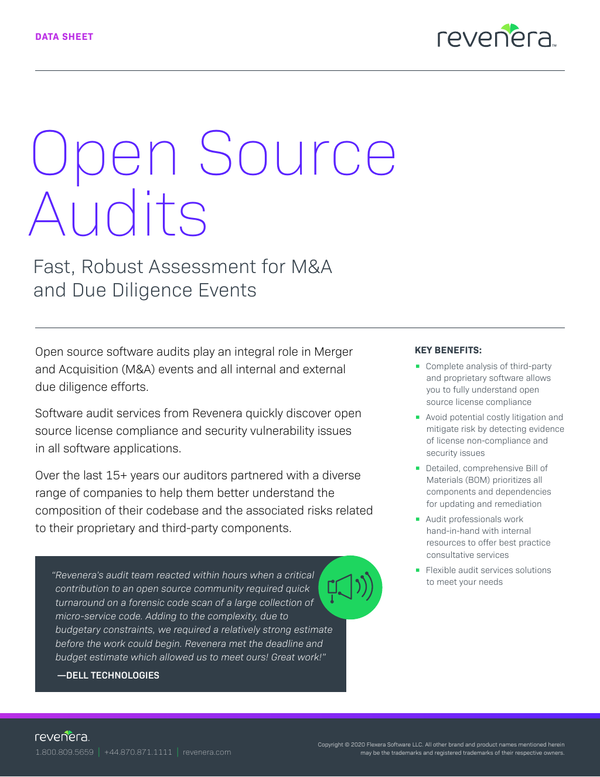 Data Sheet SCA Software Audit Services