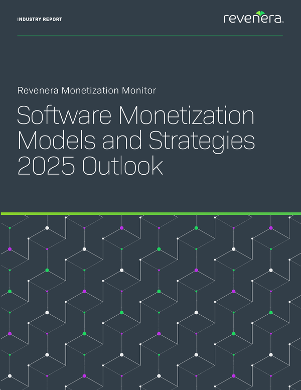 Software Monetization Models and Strategies 2025 Outlook