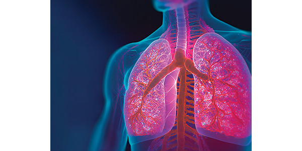 Sample content thumbnail