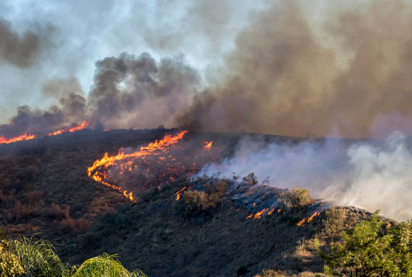 [Government] Questions to Ask During Wildfire Awareness Month​