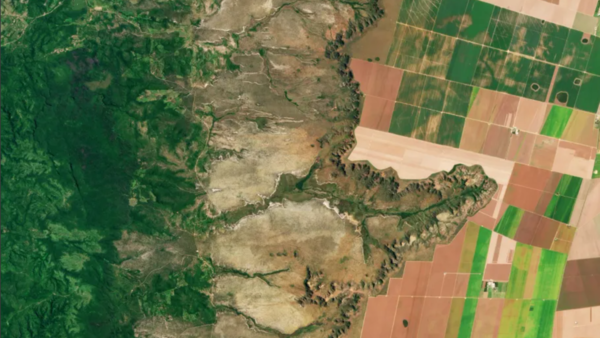 Sample content thumbnail