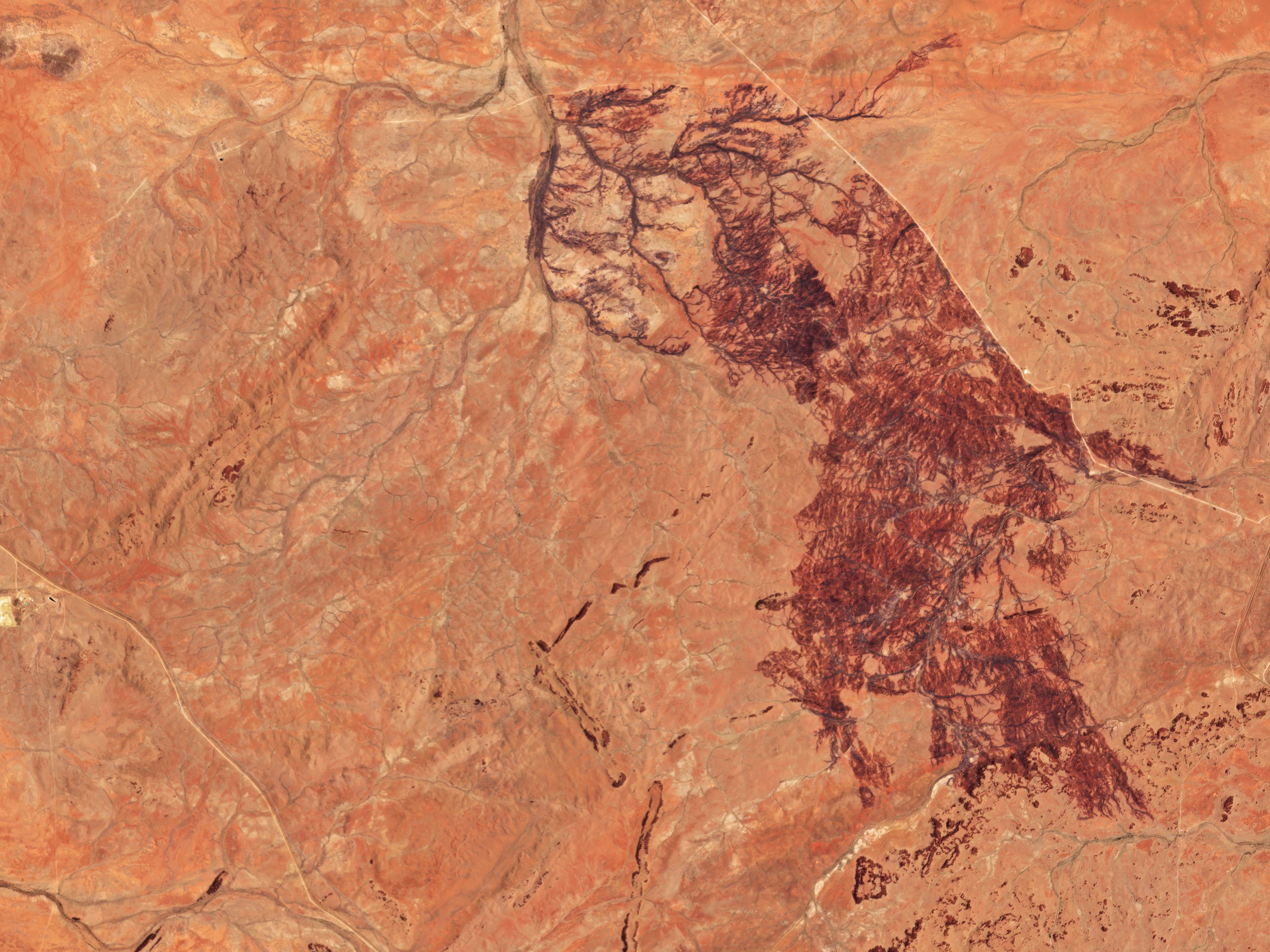 Sample content thumbnail