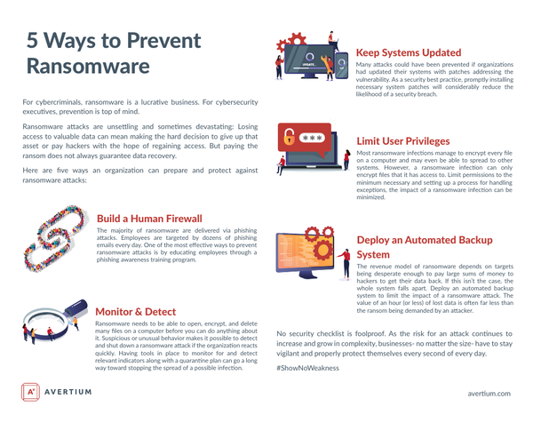 How to Fix Hauhitec Ransomware, Tips by Cyber Experts