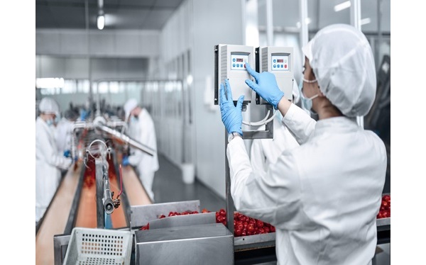 Report degli analisti: Sfrutta le migliori strategie del settore per ottimizzare la gestione delle ricette e accelerare il successo sul mercato