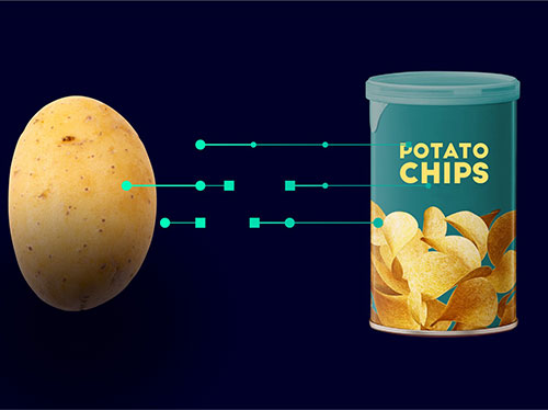 Ebook: Tracing a potato chip’s journey from farm to table