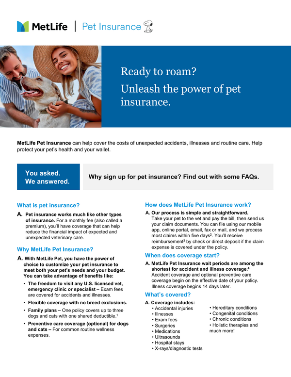 Sample content thumbnail