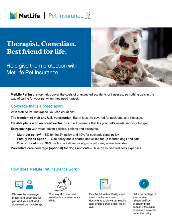 Sample content thumbnail