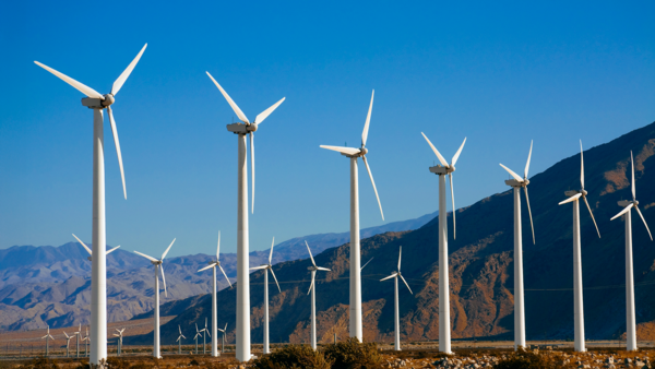 Sample content thumbnail