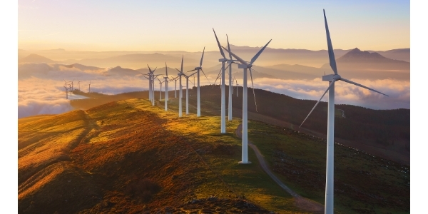 Sample content thumbnail