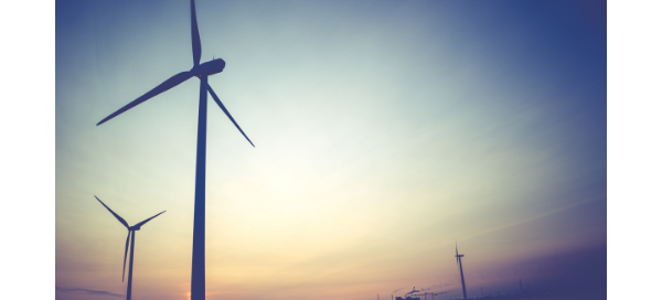 Sample content thumbnail