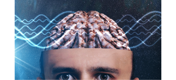 Sample content thumbnail