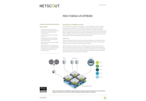 NSX-V Edition of vSTREAM