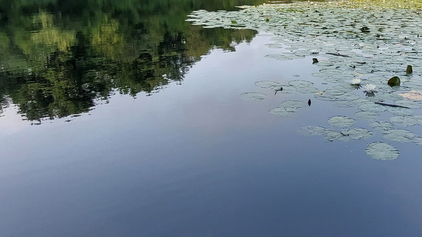 Sample content thumbnail