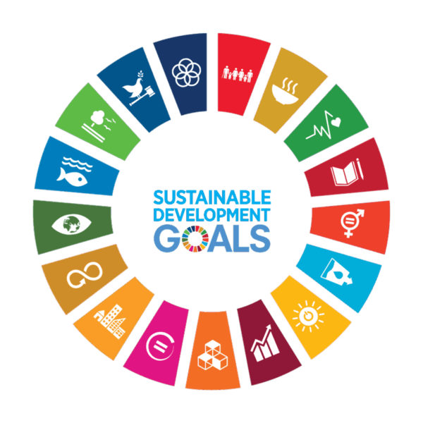 Sample content thumbnail