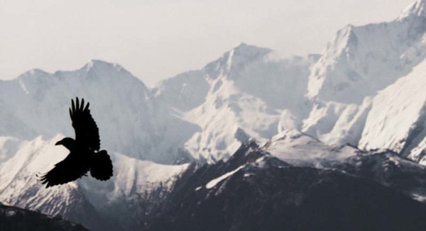 Sample content thumbnail