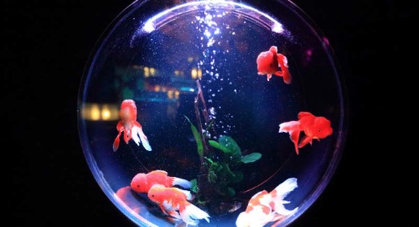 Sample content thumbnail