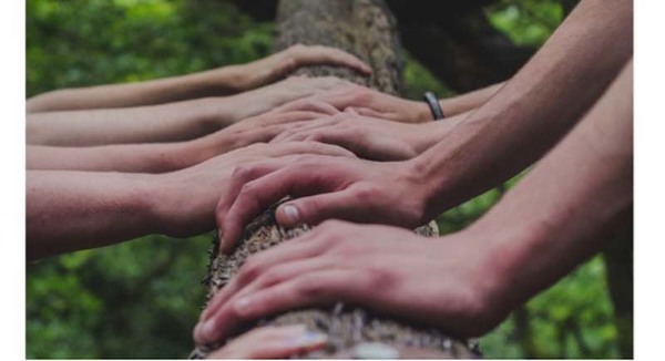 Sample content thumbnail