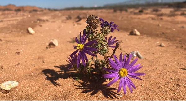 Sample content thumbnail