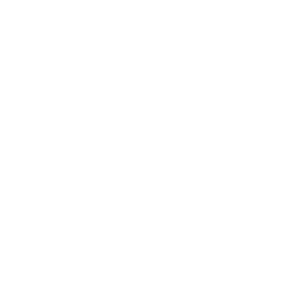 customers icon 