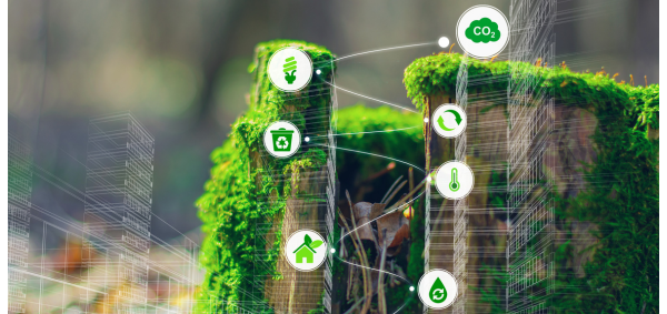 Sample content thumbnail