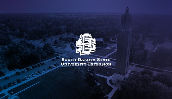 Sample content thumbnail