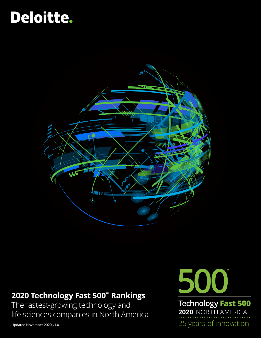 Deloitte 2020 Technology Fast 500™ Rankings